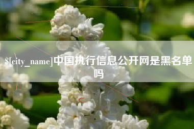 泰兴中国执行信息公开网是黑名单吗
