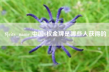 泰兴中国6枚金牌是哪些人获得的
