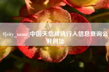 泰兴中国失信被执行人信息查询公开网址