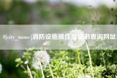 泰兴消防设施操作员证书查询网址