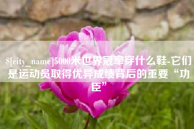 泰兴5000米世界冠军穿什么鞋-它们是运动员取得优异成绩背后的重要“功臣”