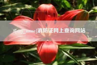 泰兴消防证网上查询网站