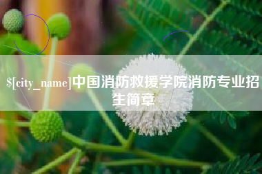泰兴中国消防救援学院消防专业招生简章