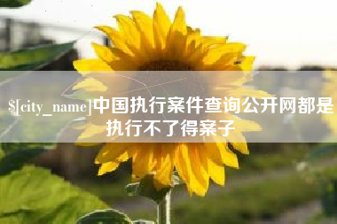 泰兴中国执行案件查询公开网都是执行不了得案子
