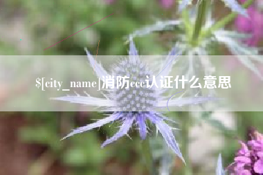 泰兴消防ccc认证什么意思
