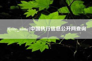 泰兴中国执行信息公开网查询