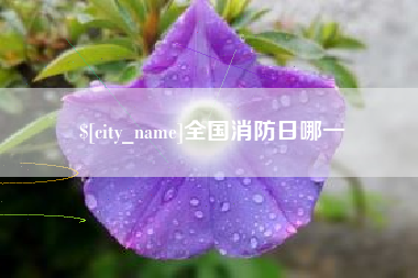 泰兴全国消防日哪一
