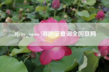 泰兴消防证查询全国联网