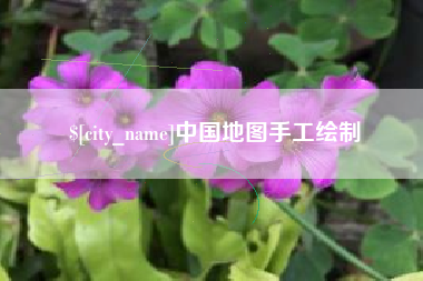 泰兴中国地图手工绘制