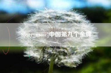 泰兴中国第九个金牌