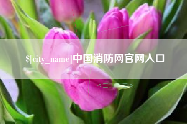 泰兴中国消防网官网入口