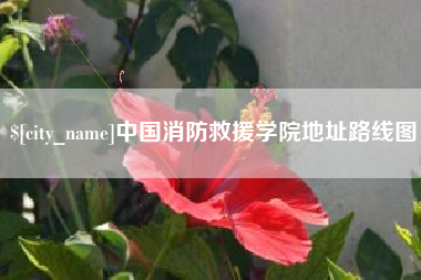 泰兴中国消防救援学院地址路线图