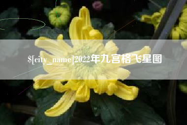 泰兴2022年九宫格飞星图