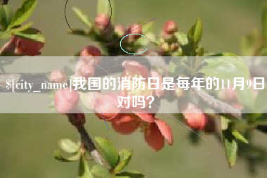 泰兴我国的消防日是每年的11月9日对吗？