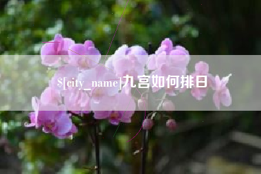 泰兴九宫如何排日