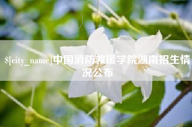 泰兴中国消防救援学院湖南招生情况公布
