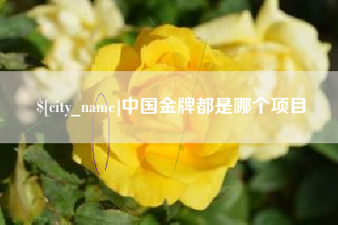 泰兴中国金牌都是哪个项目