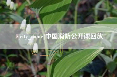 泰兴中国消防公开课回放