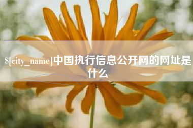 泰兴中国执行信息公开网的网址是什么