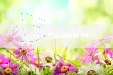 泰兴中国消防网1190119