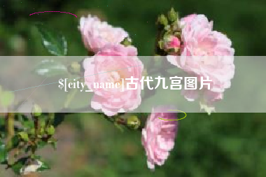 泰兴古代九宫图片