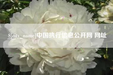 泰兴中国执行信息公开网 网址