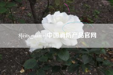 泰兴中国消防产品官网