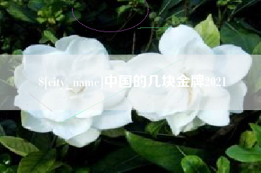 泰兴中国的几块金牌2021