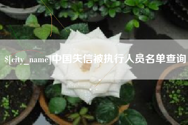 泰兴中国失信被执行人员名单查询