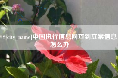 泰兴中国执行信息网查到立案信息怎么办