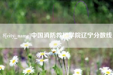 泰兴中国消防救援学院辽宁分数线