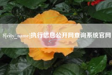 泰兴执行信息公开网查询系统官网
