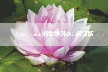 泰兴谷歌地球2024超清版