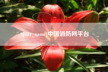 泰兴中国消防网平台