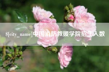泰兴中国消防救援学院招生人数