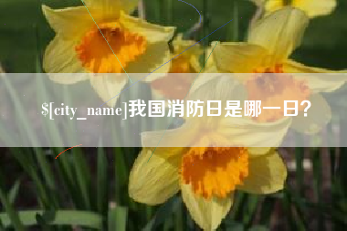 泰兴我国消防日是哪一日？