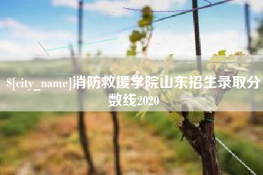 泰兴消防救援学院山东招生录取分数线2020