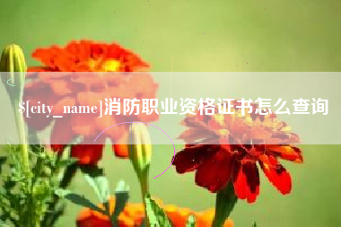 泰兴消防职业资格证书怎么查询