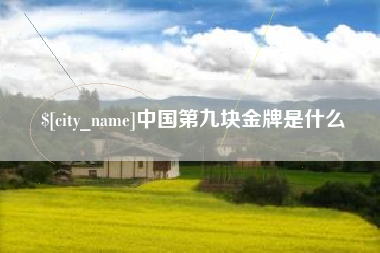 泰兴中国第九块金牌是什么