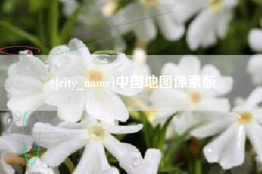 泰兴中国地图像素版
