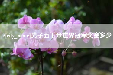 泰兴男子五千米世界冠军奖金多少