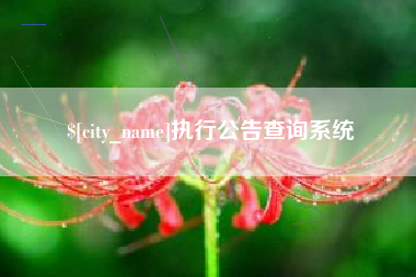 泰兴执行公告查询系统
