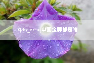 泰兴中国金牌都是啥