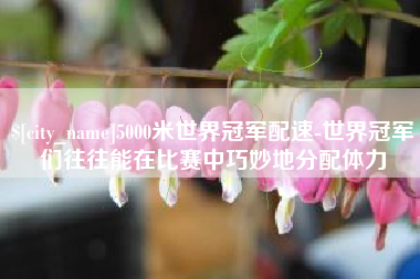 泰兴5000米世界冠军配速-世界冠军们往往能在比赛中巧妙地分配体力