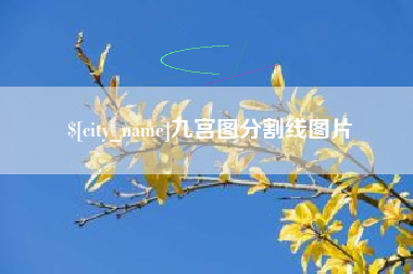 泰兴九宫图分割线图片