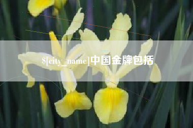 泰兴中国金牌包括