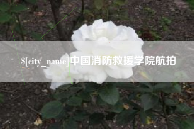泰兴中国消防救援学院航拍
