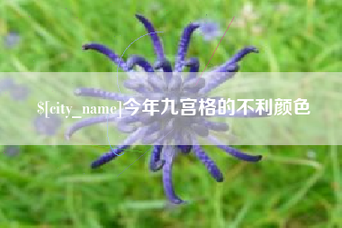 泰兴今年九宫格的不利颜色