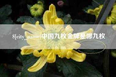 泰兴中国九枚金牌是哪九枚