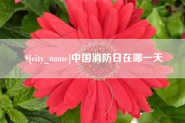 泰兴中国消防日在哪一天